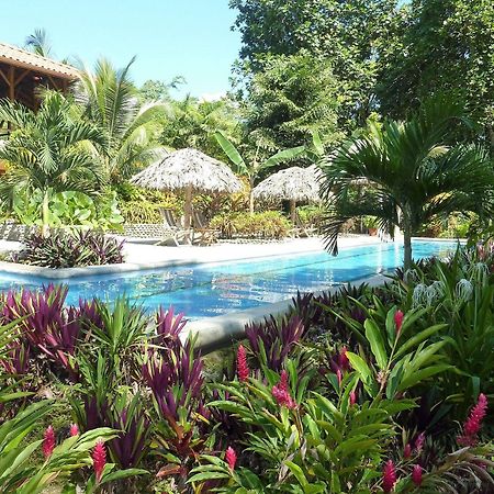 Bluff Beach Retreat Bocas del Toro Eksteriør bilde