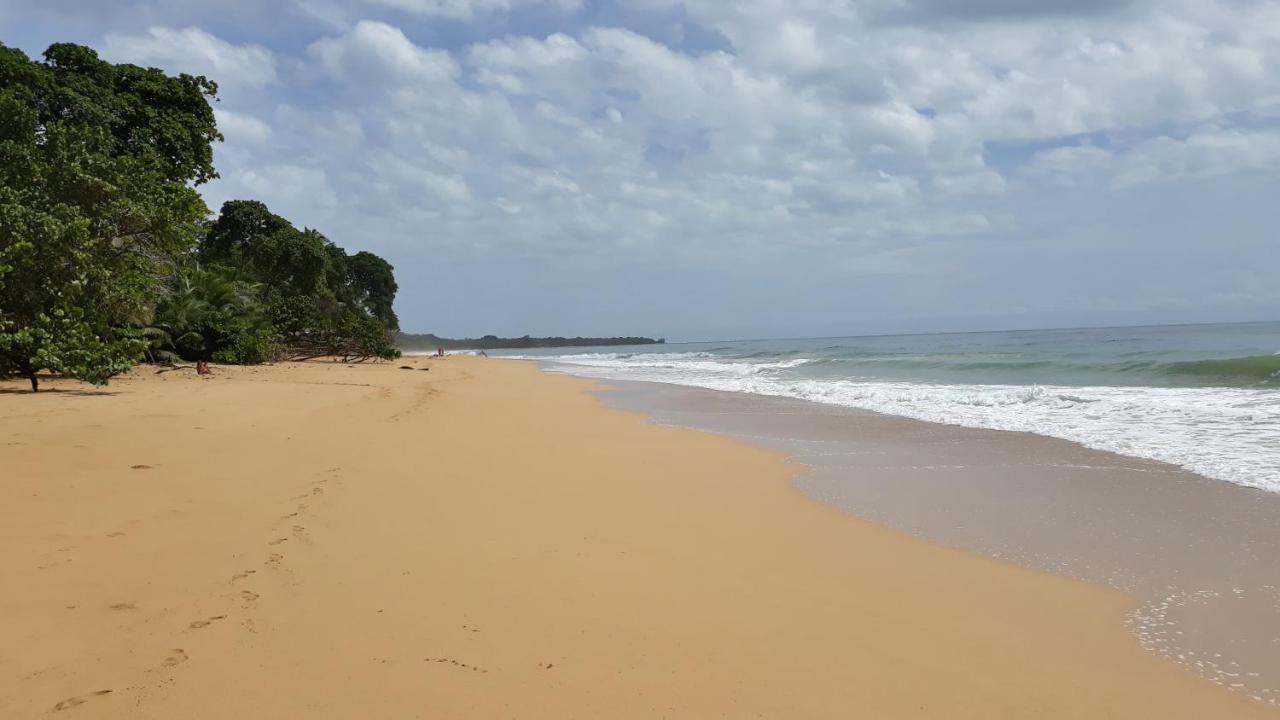 Bluff Beach Retreat Bocas del Toro Eksteriør bilde