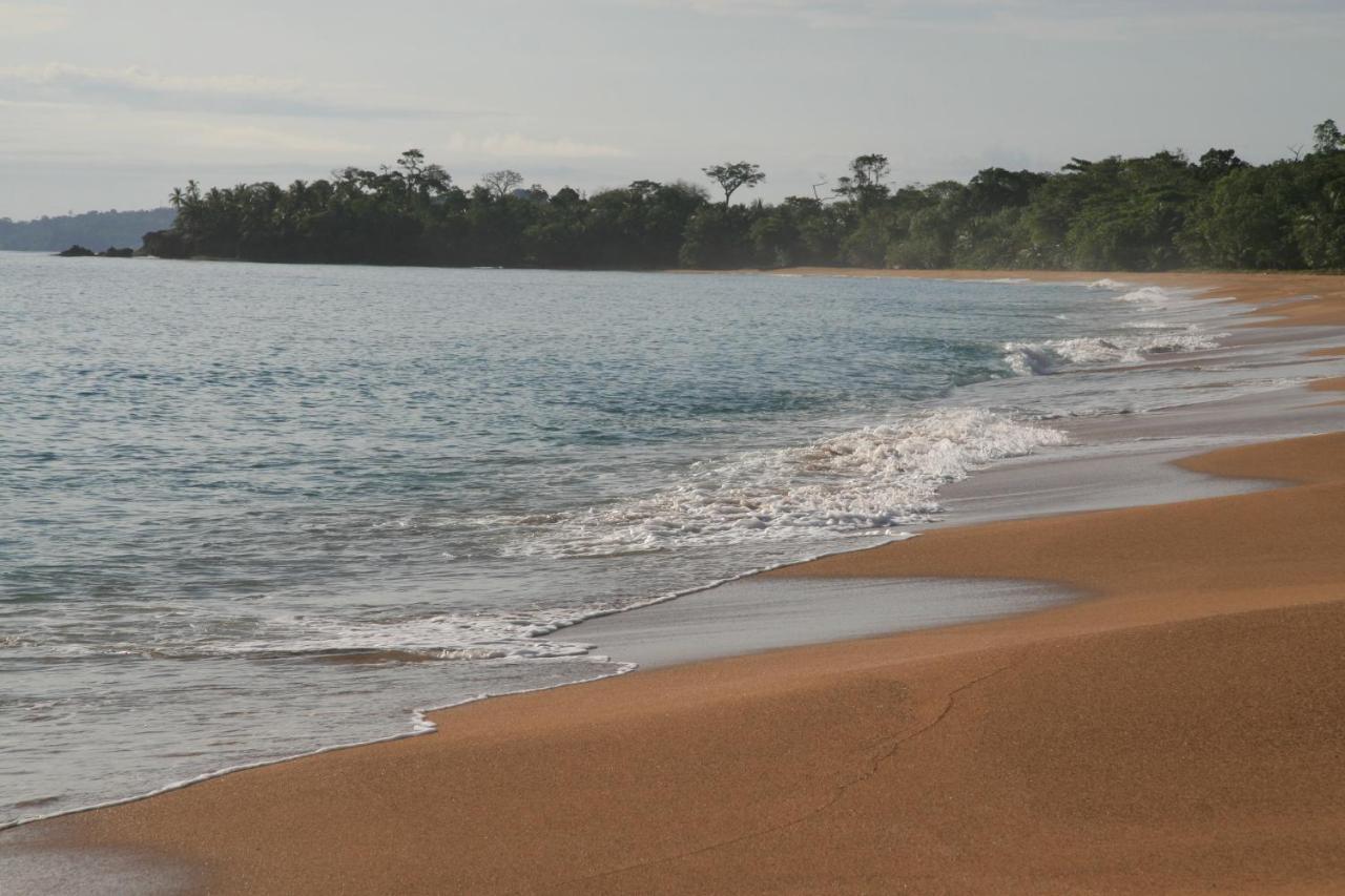 Bluff Beach Retreat Bocas del Toro Eksteriør bilde