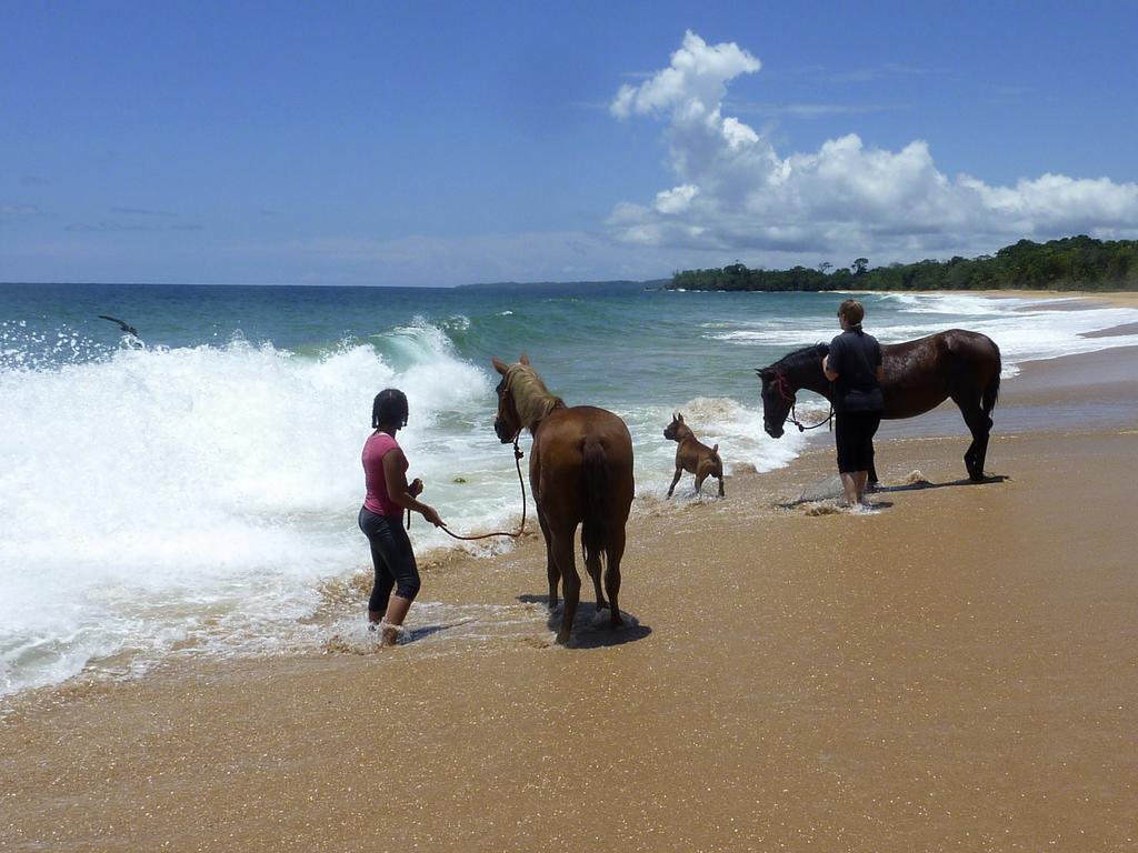 Bluff Beach Retreat Bocas del Toro Eksteriør bilde