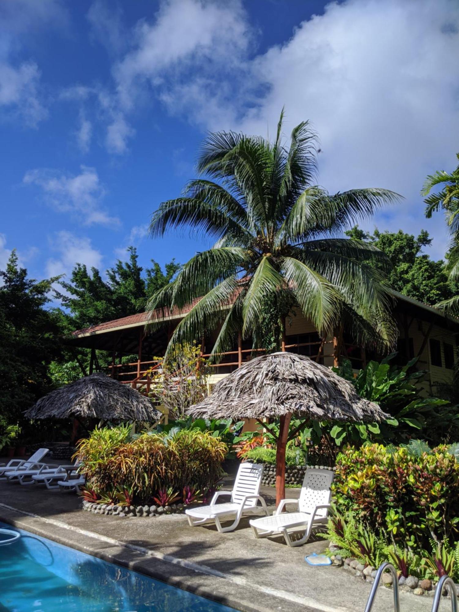 Bluff Beach Retreat Bocas del Toro Eksteriør bilde
