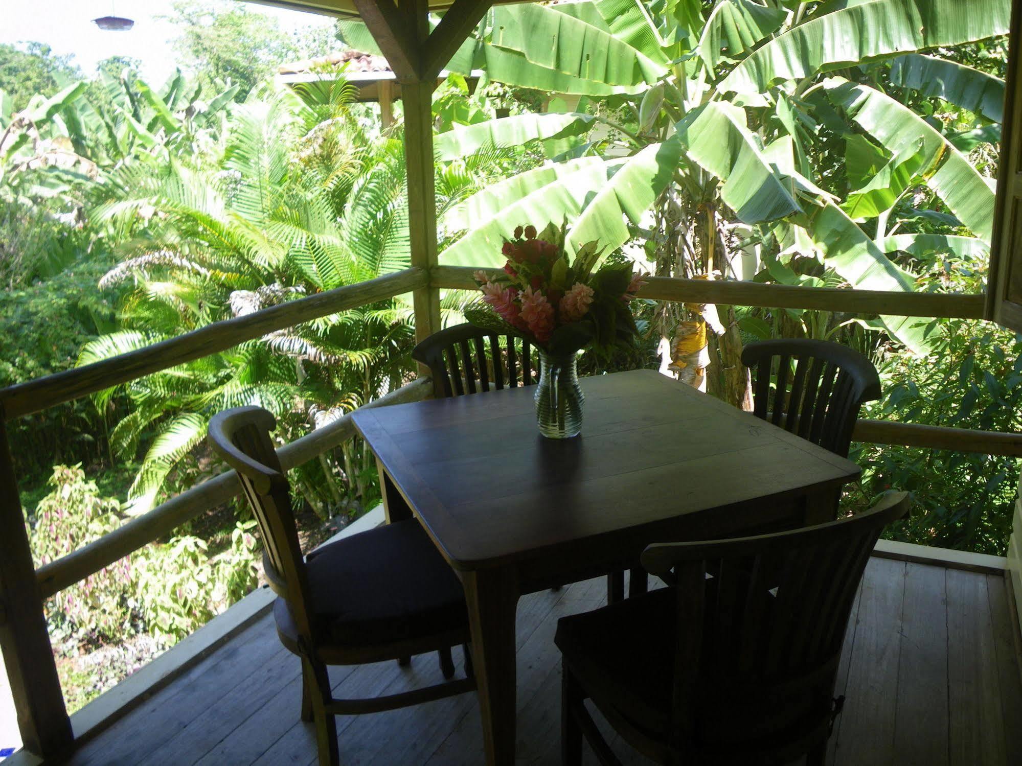 Bluff Beach Retreat Bocas del Toro Eksteriør bilde