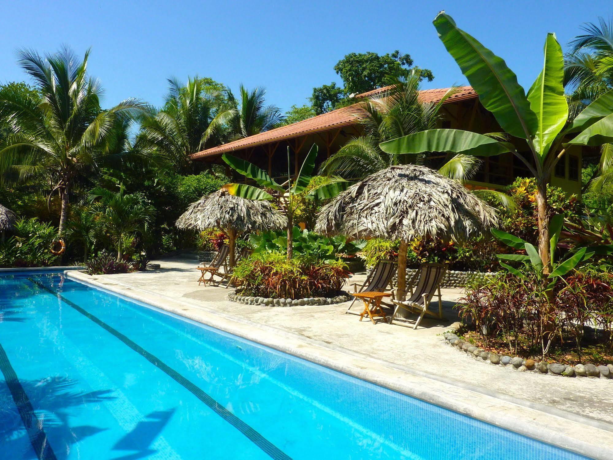 Bluff Beach Retreat Bocas del Toro Eksteriør bilde
