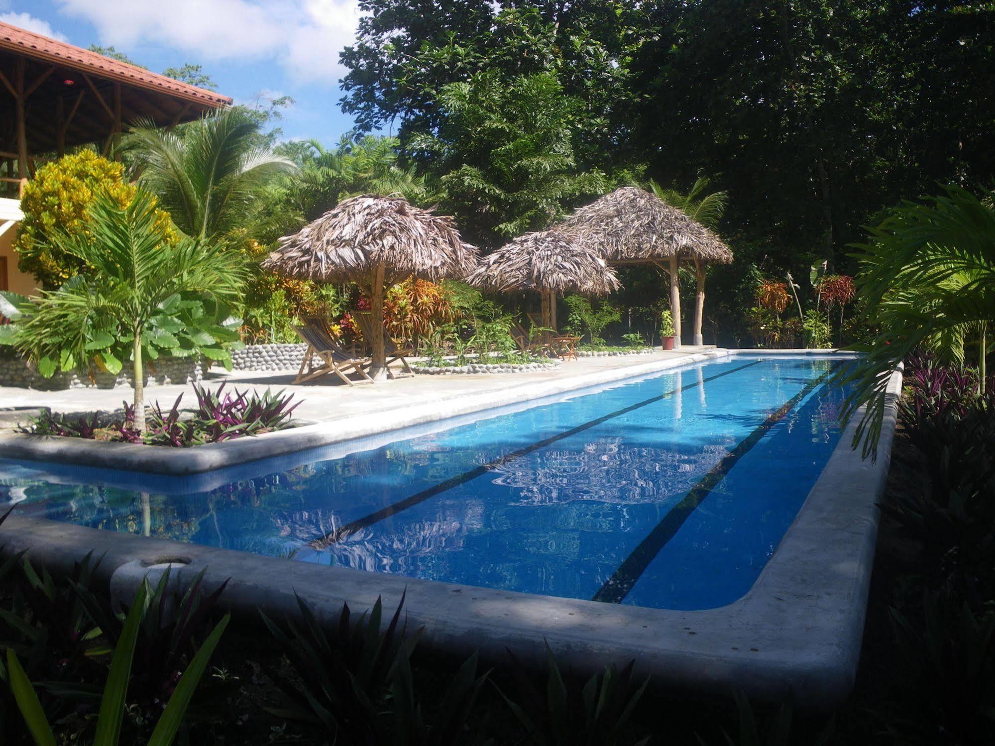 Bluff Beach Retreat Bocas del Toro Eksteriør bilde