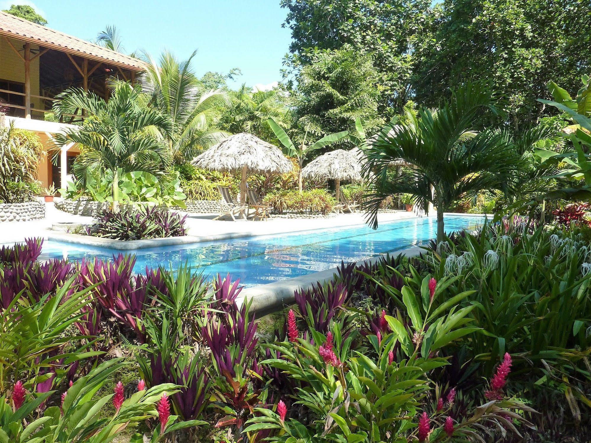 Bluff Beach Retreat Bocas del Toro Eksteriør bilde