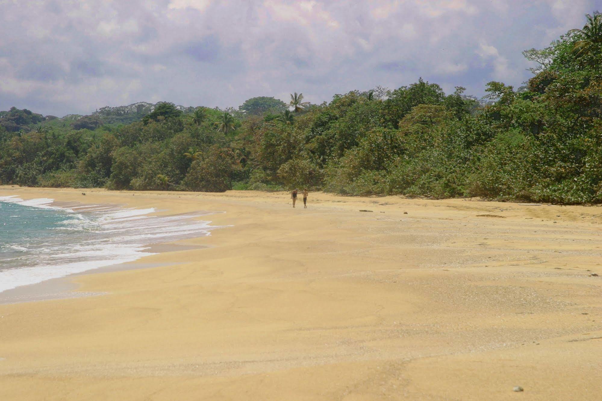 Bluff Beach Retreat Bocas del Toro Eksteriør bilde