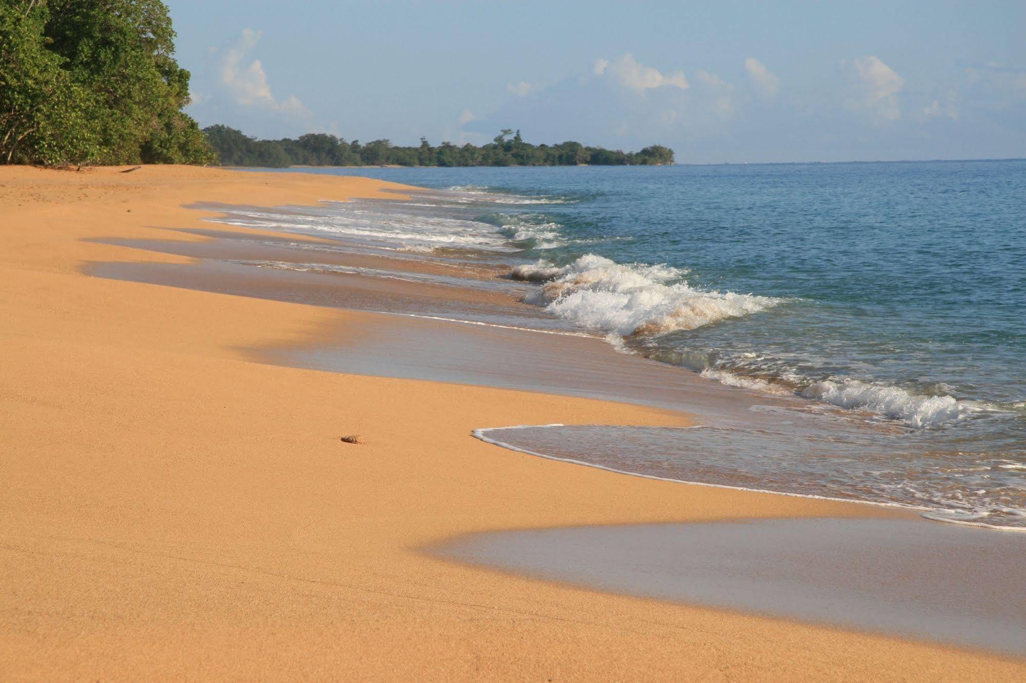 Bluff Beach Retreat Bocas del Toro Eksteriør bilde