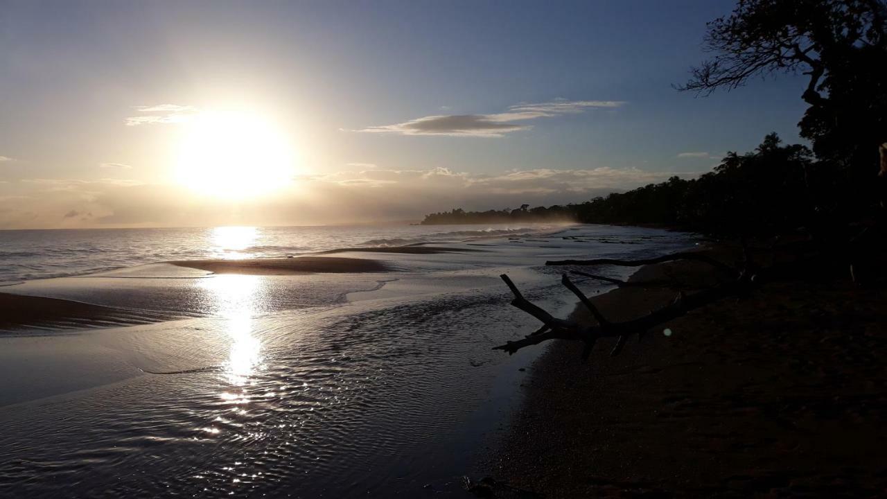 Bluff Beach Retreat Bocas del Toro Eksteriør bilde